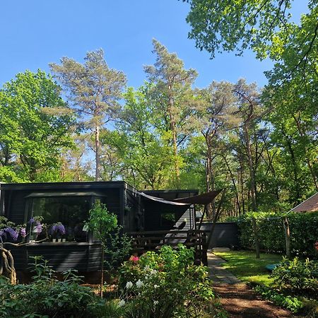 Heerlijk Huisje In Het Bos Op Chaletpark Kempenbos Diessen Екстер'єр фото