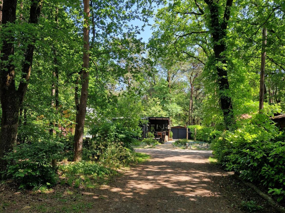 Heerlijk Huisje In Het Bos Op Chaletpark Kempenbos Diessen Екстер'єр фото