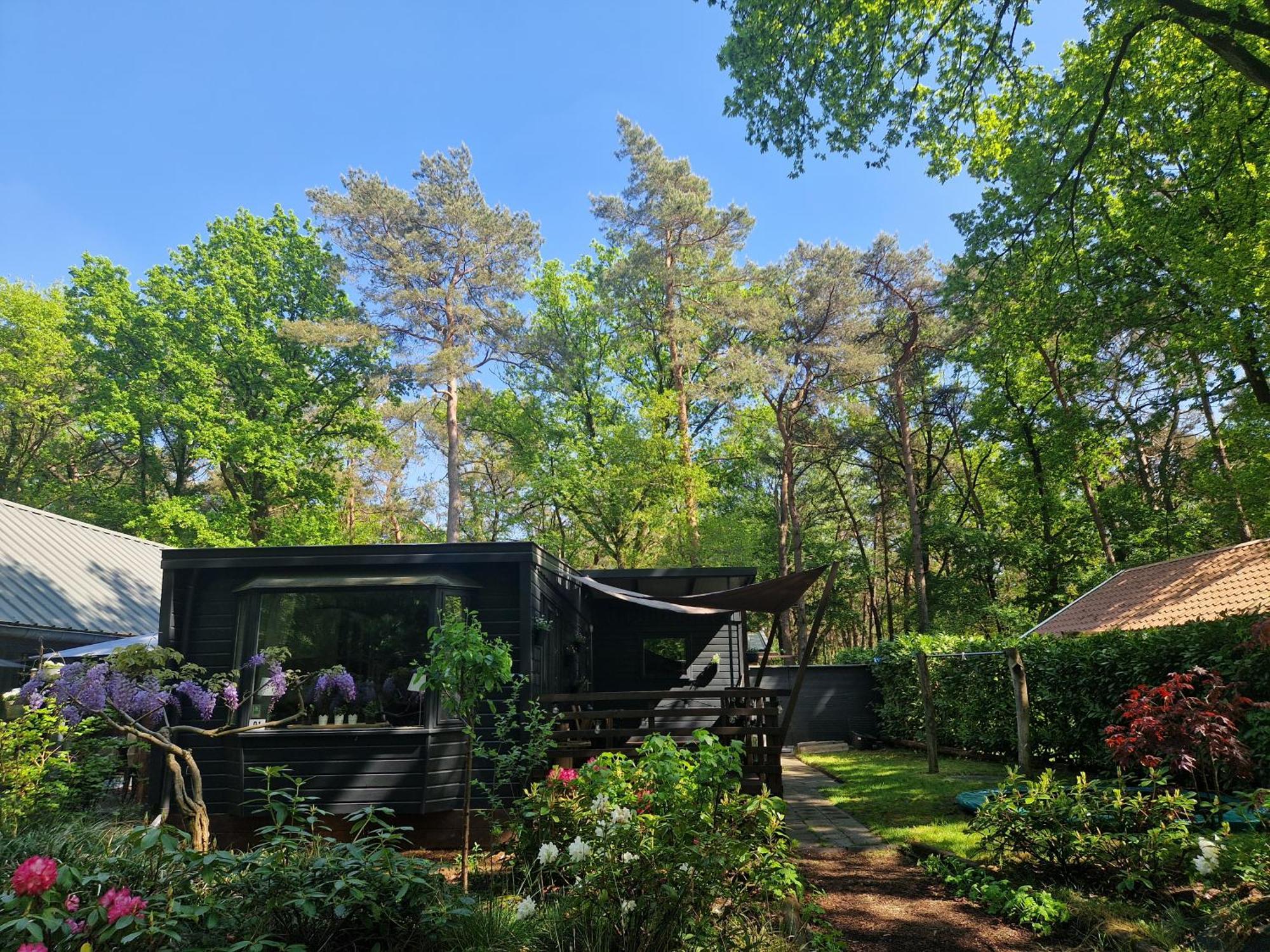 Heerlijk Huisje In Het Bos Op Chaletpark Kempenbos Diessen Екстер'єр фото