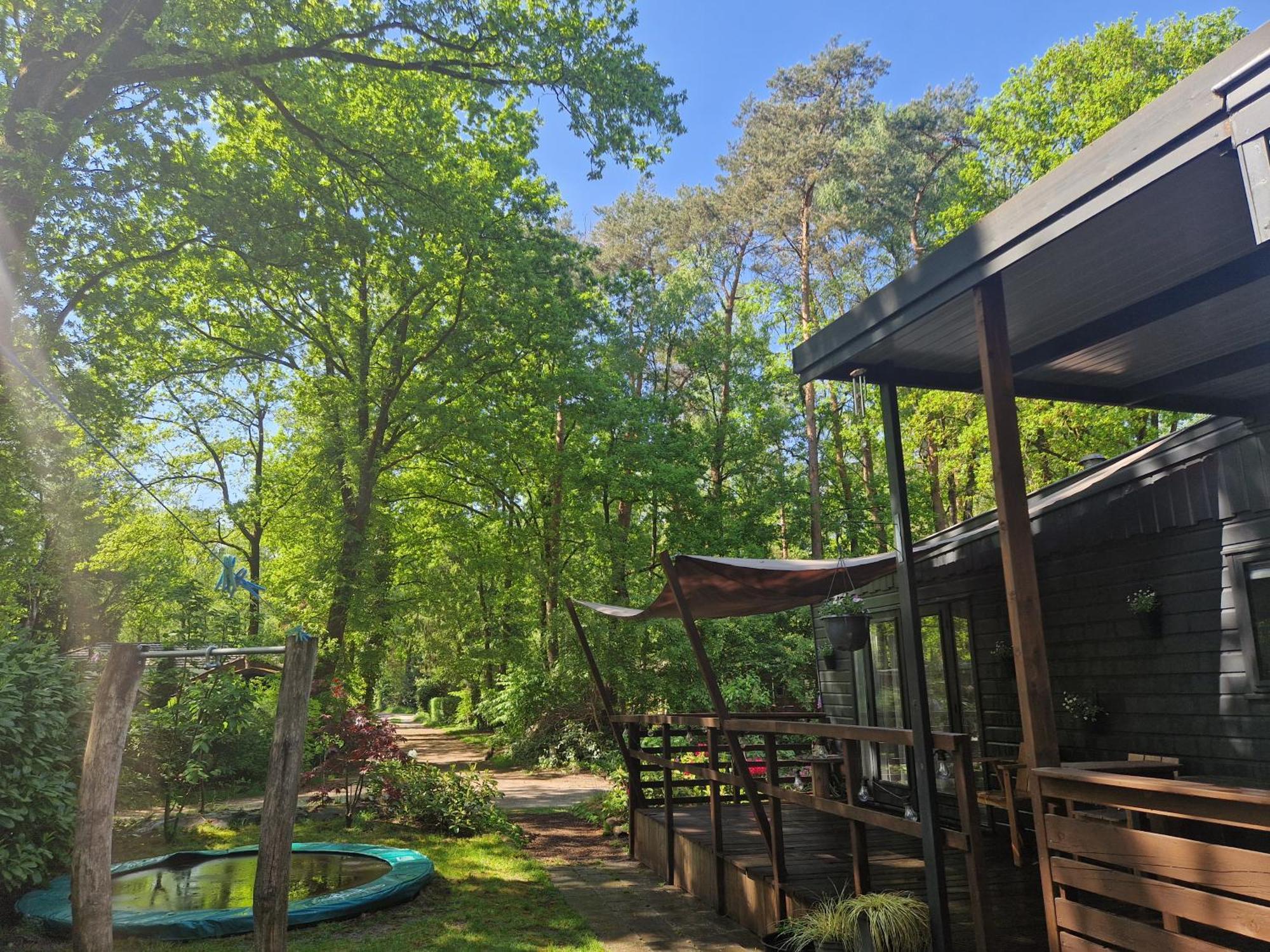 Heerlijk Huisje In Het Bos Op Chaletpark Kempenbos Diessen Екстер'єр фото